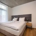 Apartment Soukenicka Prague